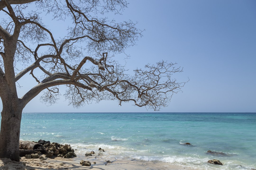 Praia Branca 02